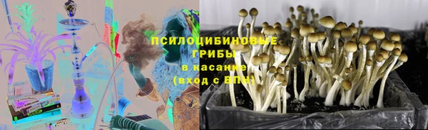 спиды Абдулино
