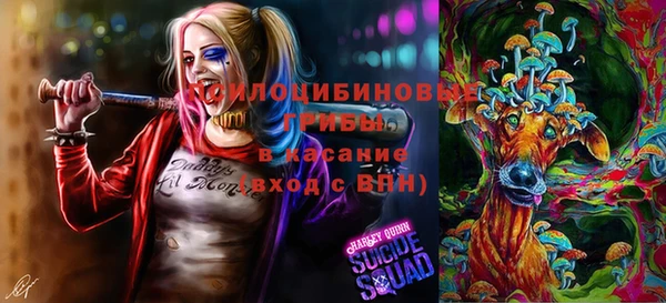 бошки Абаза