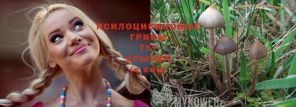 бошки Абаза