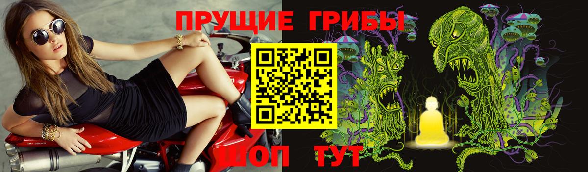 Псилоцибиновые грибы Cubensis  Галлюциногенные грибы прущие грибы  Фурманов  даркнет сайт  Вход с VPN 