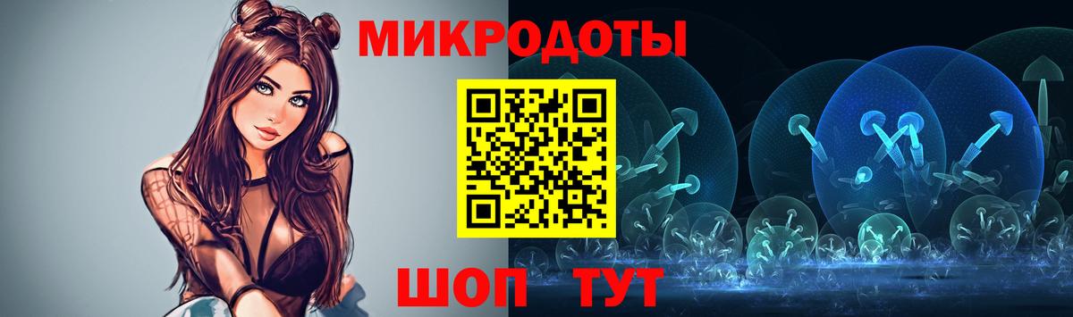 Галлюциногенные грибы Psilocybe Фурманов